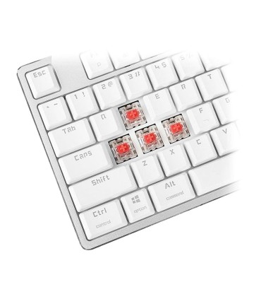 کیبورد با سیم رپو MT500