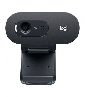 وب کم لاجیتک C505E HD