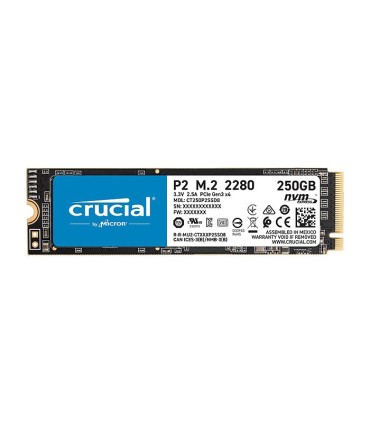 اس اس دی کروشیال P2 ظرفیت 250 گیگابایت