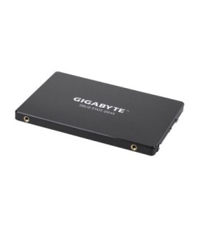 اس اس دی گیگابایت GP-GSTFS31120GNTD ظرفیت 120 گیگابایت