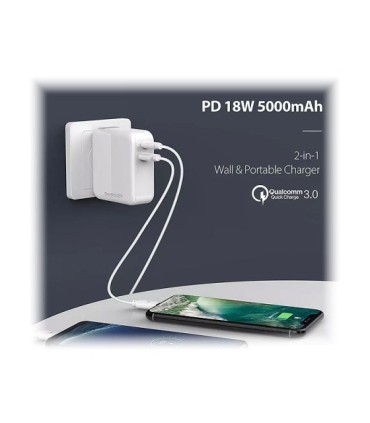 شارژر پاوربانک راوپاور RP-PB101 با ظرفیت 5000 میلی آمپر ساعت