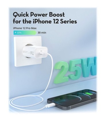 شارژر دیواری راوپاور RP-PC156