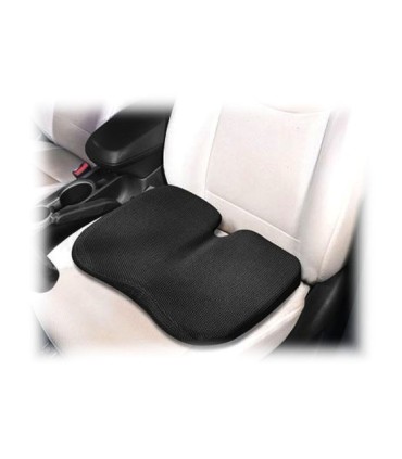 به نشین تن آسا باراد SC1