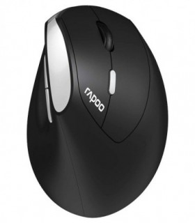 ماوس بی سیم رپو EV250 بی صدا