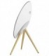 اسپیکر بلوتوث بنگ اند آلفسن Beosound A9
