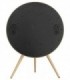 اسپیکر بلوتوث بنگ اند آلفسن Beosound A9