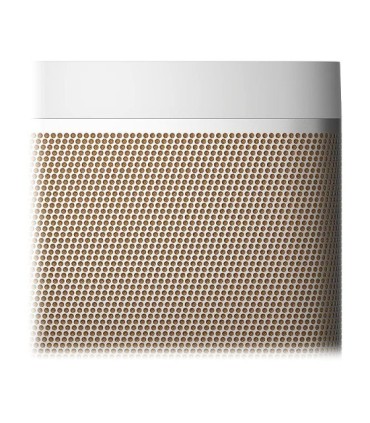 اسپیکر بلوتوث بنگ اند آلفسن Beolit 20