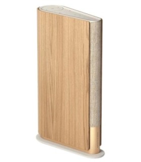 اسپیکر بلوتوث بنگ اند آلفسن Beosound Emerge