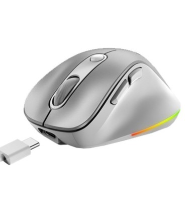 ماوس بی سیم جنیوس Ergo 9000S PRO بی صدا