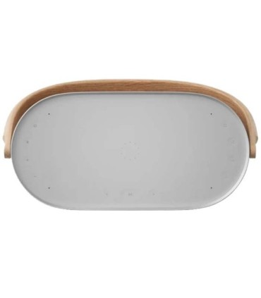 اسپیکر بلوتوث بنگ اند آلفسن Beosound A5