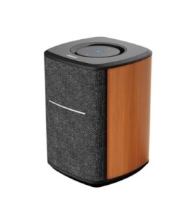 اسپیکر ادیفایر MS50A