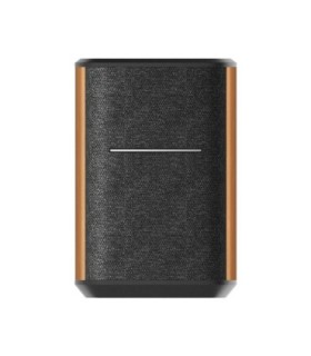 اسپیکر ادیفایر MS50A