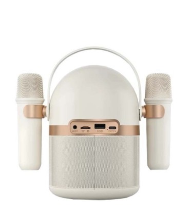 اسپیکر بلوتوث فیلیپس S2508WT