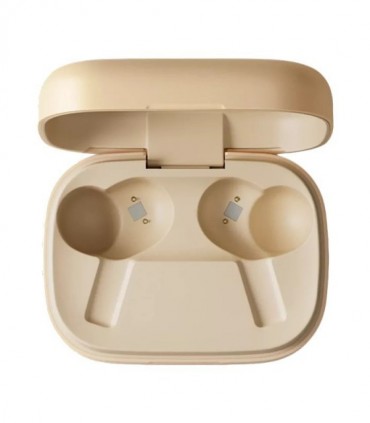 ایرفون بلوتوث بنگ اند آلفسن Beoplay EX