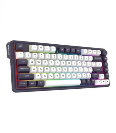 کیبورد بی سیم گیمینگ ردراگون Finke K715 Pro