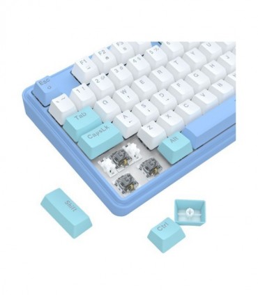 کیبورد باسیم گیمینگ ردراگون Star Blade K707WBB