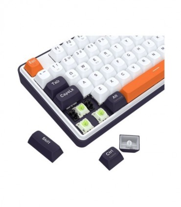 کیبورد بی سیم گیمینگ ردراگون Wyvern K689WBO Pro