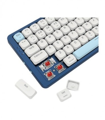 کیبورد گیمینگ مکانیکال ردراگون Eva K684WB Pro