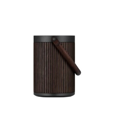 اسپیکر بلوتوث بنگ اند آلفسن Beosound A5