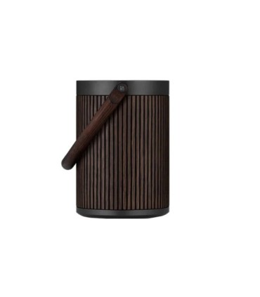 اسپیکر بلوتوث بنگ اند آلفسن Beosound A5