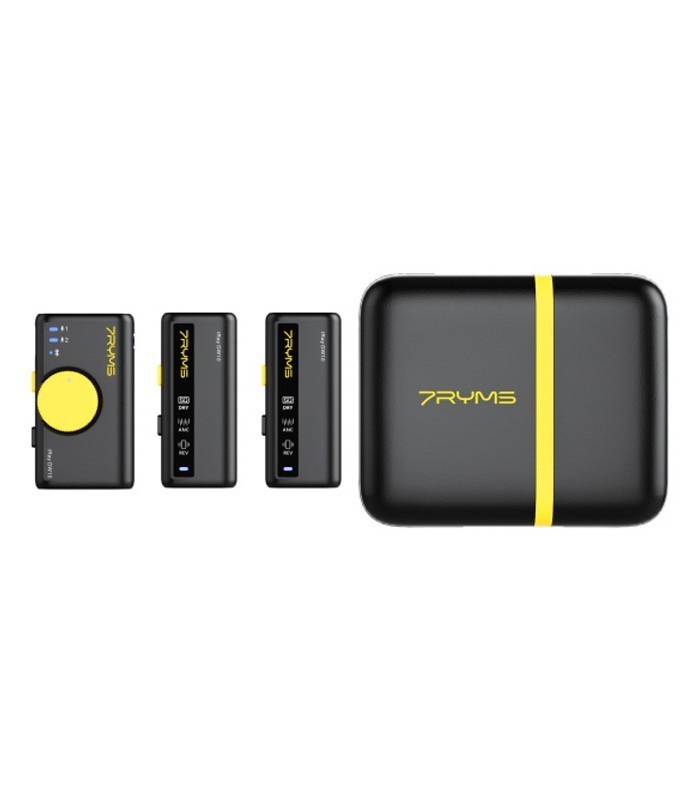 میکروفون بی سیم سون ریمز iRay DW10