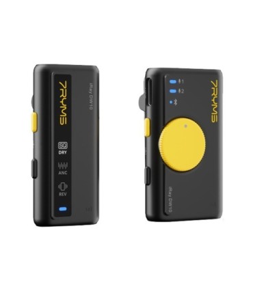 میکروفون بی سیم سون ریمز iRay DW10