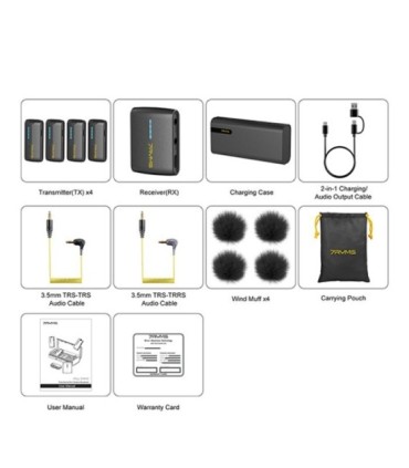 میکروفون بی سیم سون ریمز iRay DW40