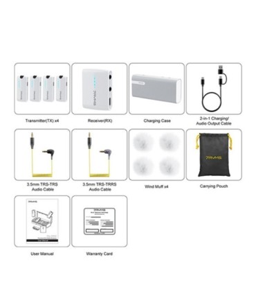 میکروفون بی سیم سون ریمز iRay DW40