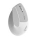 ماوس بی سیم مافی M11