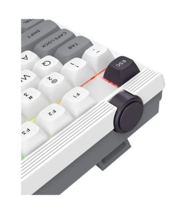 کیبورد گیمینگ مکانیکال ردراگون Otim K729WGB Pro