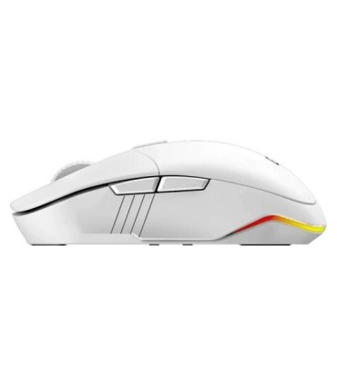 ماوس بی ‌سیم گیمینگ جنیوس Scorpion M8250