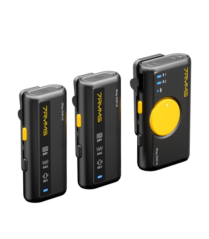 میکروفون بی سیم سون ریمز iRay DW10